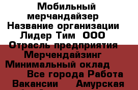 Мобильный мерчандайзер › Название организации ­ Лидер Тим, ООО › Отрасль предприятия ­ Мерчендайзинг › Минимальный оклад ­ 17 500 - Все города Работа » Вакансии   . Амурская обл.,Архаринский р-н